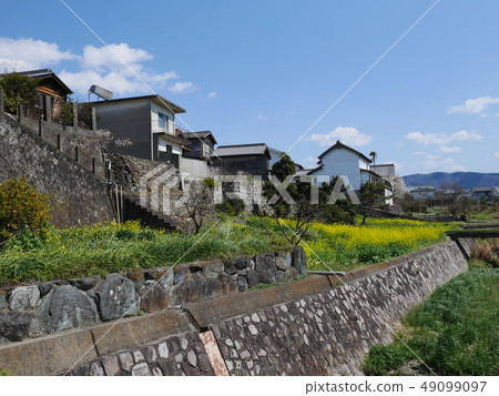 Waki鎮在春天 49099097