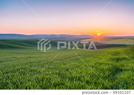 Green Fields on Sunset Green Fields on Sunset 49101107