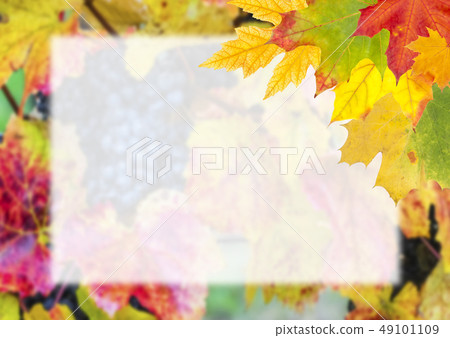 Autumn Postcard for Design Autumn Postcard for Design 49101109