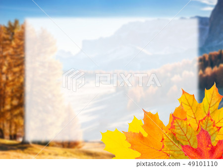 Autumn Postcard for Design Autumn Postcard for Design 49101110