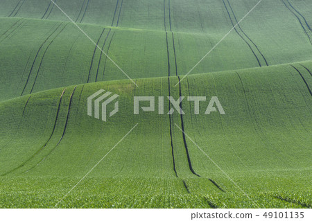 Landscape with Green Hills Landscape with Green Hills 49101135