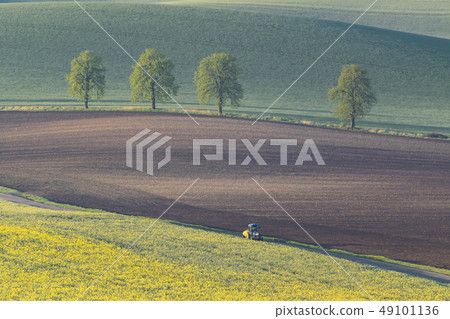 Landscape with Fields and Trees 49101136
