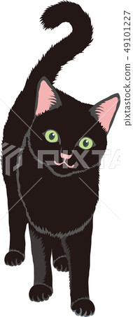 黑貓 49101227