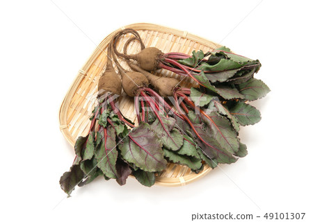 紅蘿蔔、甜菜 紅蘿蔔、甜菜 49101307