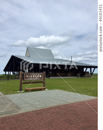 瓦卡野生花卉園 瓦卡野生花卉園 49101451