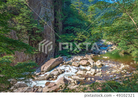 Special sight Katsusandankyo 49102321