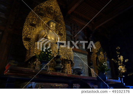 Todera Buddha statue 49102376
