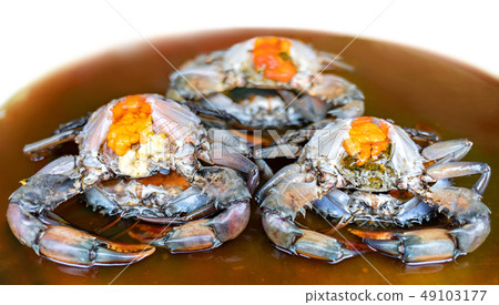 sea crab with roe pickle in fish sauce 49103177