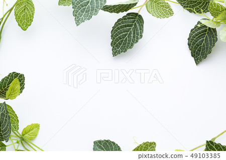 綠色（人造花） 49103385