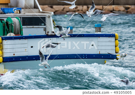 釣魚 釣魚 49105005
