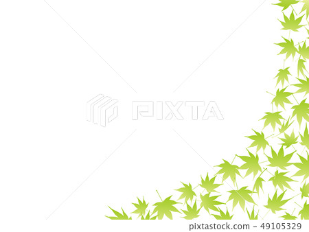 新鮮的綠色楓葉圖案 49105329