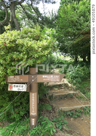 葛城 葛城 49105879