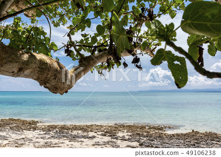 Taketomijima Kaiji Beach 49106238