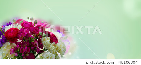 Freeseia fresh flowers Freeseia fresh flowers 49106304