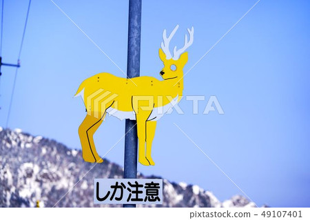 路標鹿小心 路標鹿小心 49107401