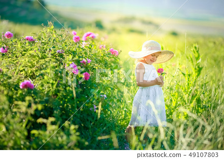 Cute girl wearing hat and white dress stand in the pink flower field of Sunn Hemp Crotalaria Juncea 49107803