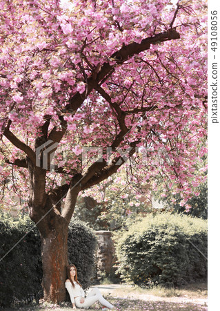 Outdoor portrait of young beautiful happy smiling lady posing near flowering tree. Model wearing 49108056