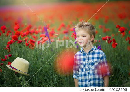 Little cute boy in field with red poppies and blue sky Little cute boy in field with red poppies and blue sky 49108306