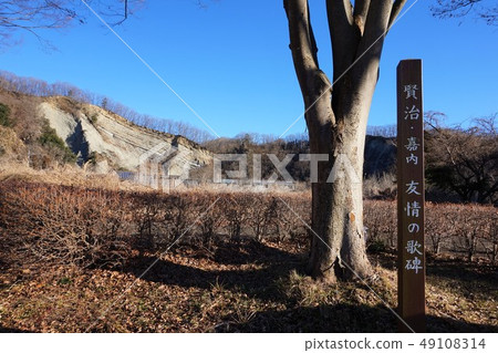 秩父無峽谷歌紀念碑友誼紀念碑Yokoke國家指定天然紀念物宮澤賢治保澤Kanai Azalia 49108314