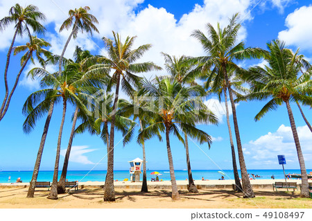 威基基（夏威夷圖像） 49108497