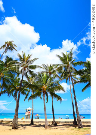 威基基（夏威夷圖像） 49108498