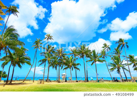 威基基（夏威夷圖像） 49108499