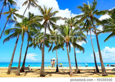 威基基（夏威夷圖像） 49108500