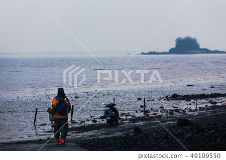 A woman walking to take a shellfish from a tidal flat 49109550