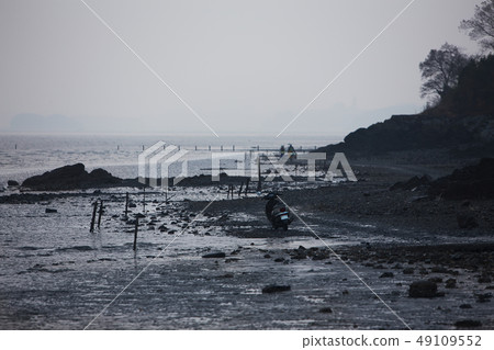 海灘的潮汐 49109552