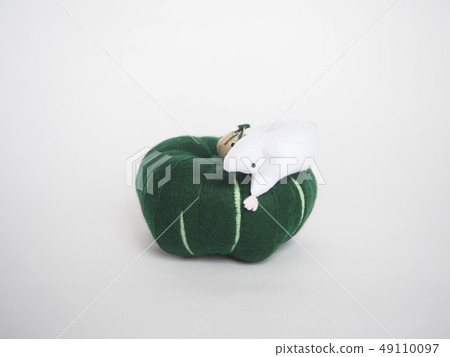 感覺片老鼠和南瓜 49110097