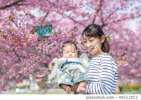 櫻花和家庭照片 櫻花和家庭照片 49111851