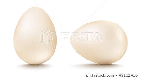 Vector set realistic white eggs Vector set realistic white eggs 49112416