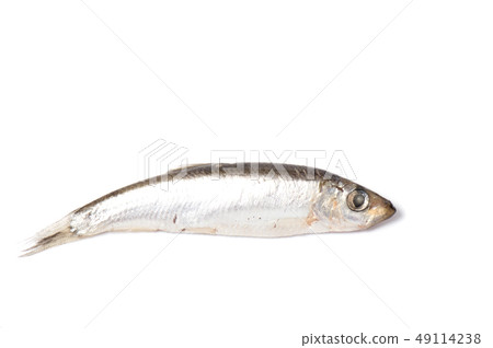 Dry  fish isolated on white background. horizontal 49114238