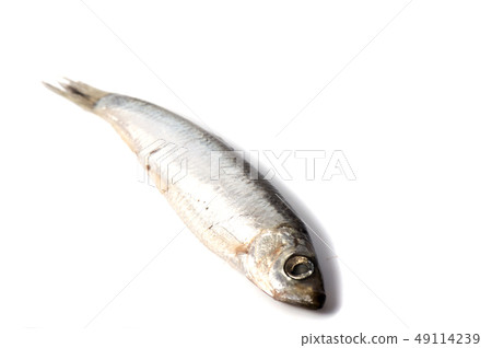 Dry fish isolated on white background. horizontal Dry fish isolated on white background. horizontal 49114239