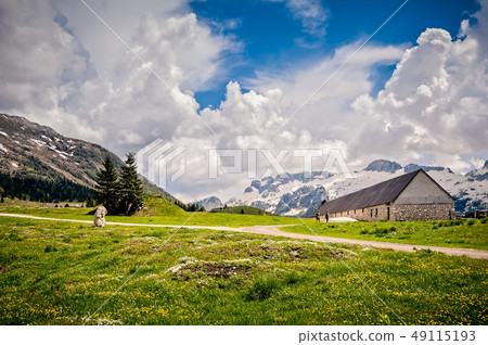 Plateau of Montasio. Mountain range landscape 49115193