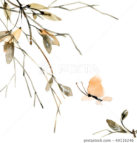 Watercolor tree leaves and butterfly Watercolor tree leaves and butterfly 49116246