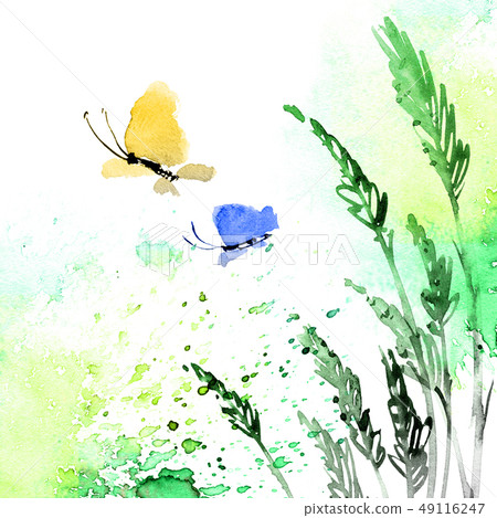 Butterfly and meadow grass 49116247