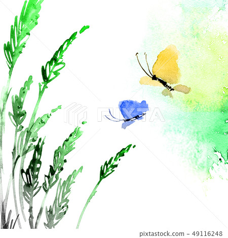 Butterfly and meadow grass 49116248