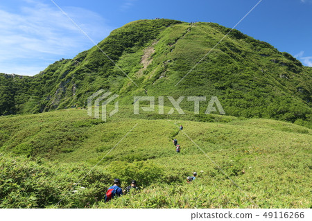 通往山頂的道路 通往山頂的道路 49116266