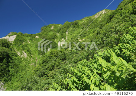 通往山頂的道路 49116270