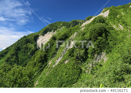 通往山頂的道路 通往山頂的道路 49116271