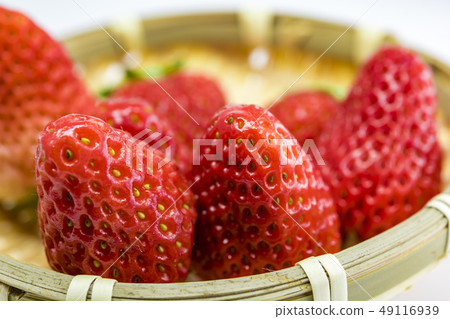 【strawberry】 【strawberry】 49116939
