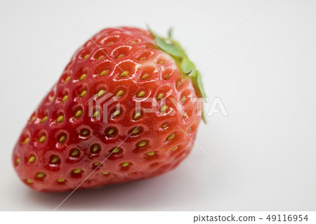 【strawberry】 【strawberry】 49116954