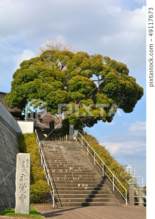 Yokohama · Honka-ji 49117673