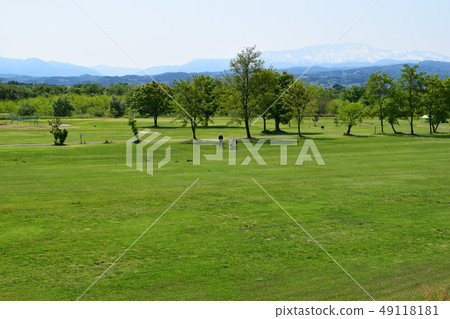 Fresh green golf course 49118181