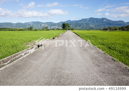 road on the farm road on the farm 49118999