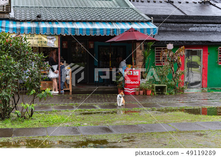 Houtong cat village. Taiwan famous cat population. 49119289