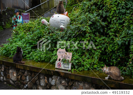 Houtong cat village. Taiwan famous cat population. 49119332