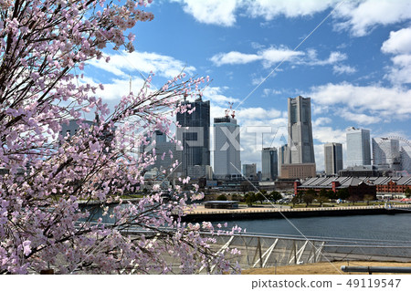 Yokohama-Otsanbashi 49119547