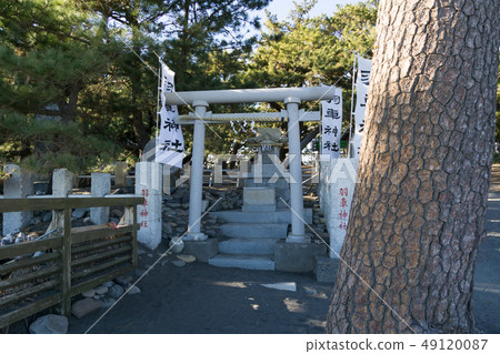 [Shizuoka Prefecture] Matsuho Hanawa Shrine of Miho 49120087